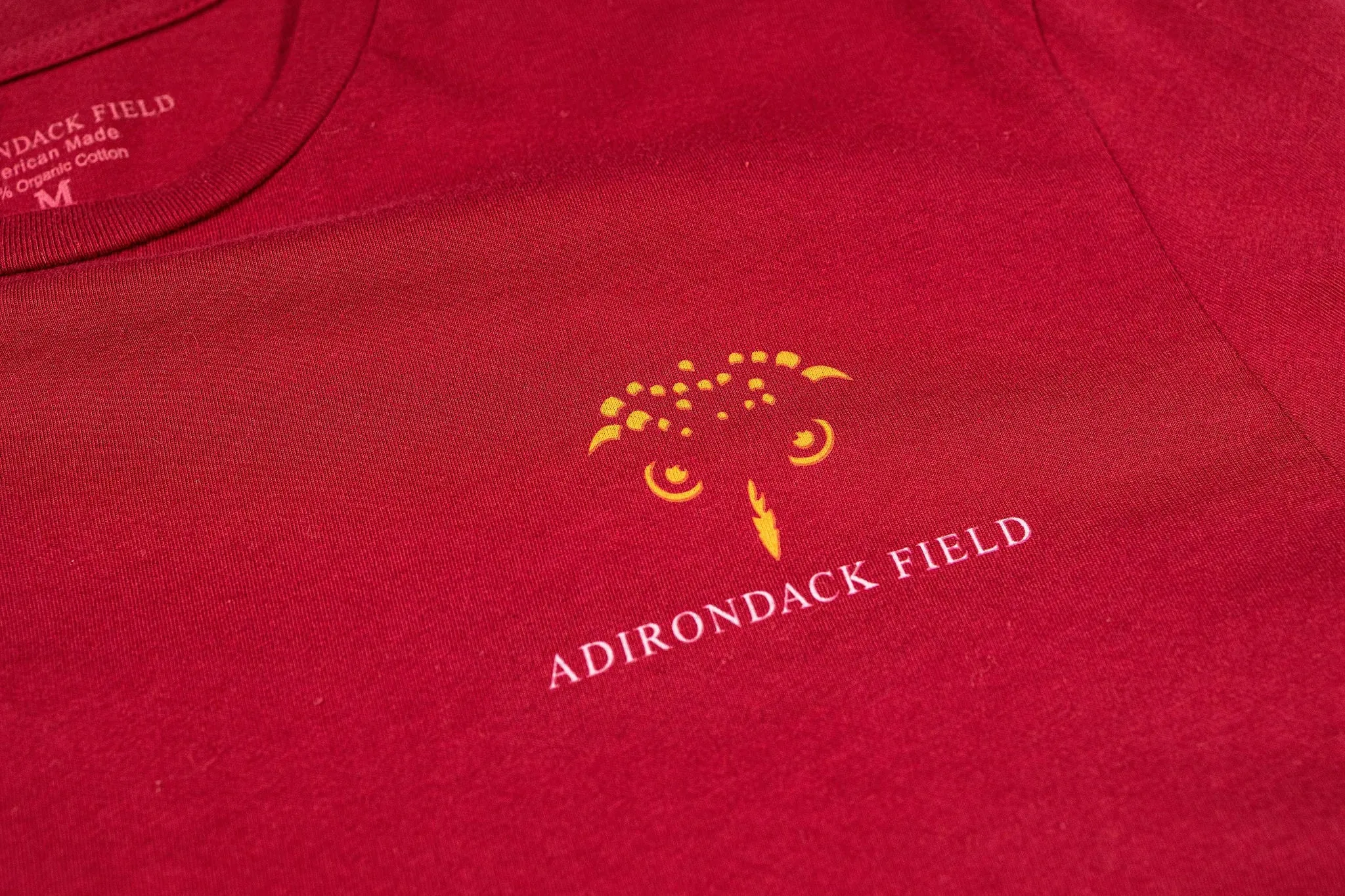 Adirondack Field | Cloudsplitter Organic Tee L/S - Derecho | Men's