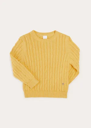 Cable Detail Crew Neck Jumper In Mustard Yellow (2-10yrs)