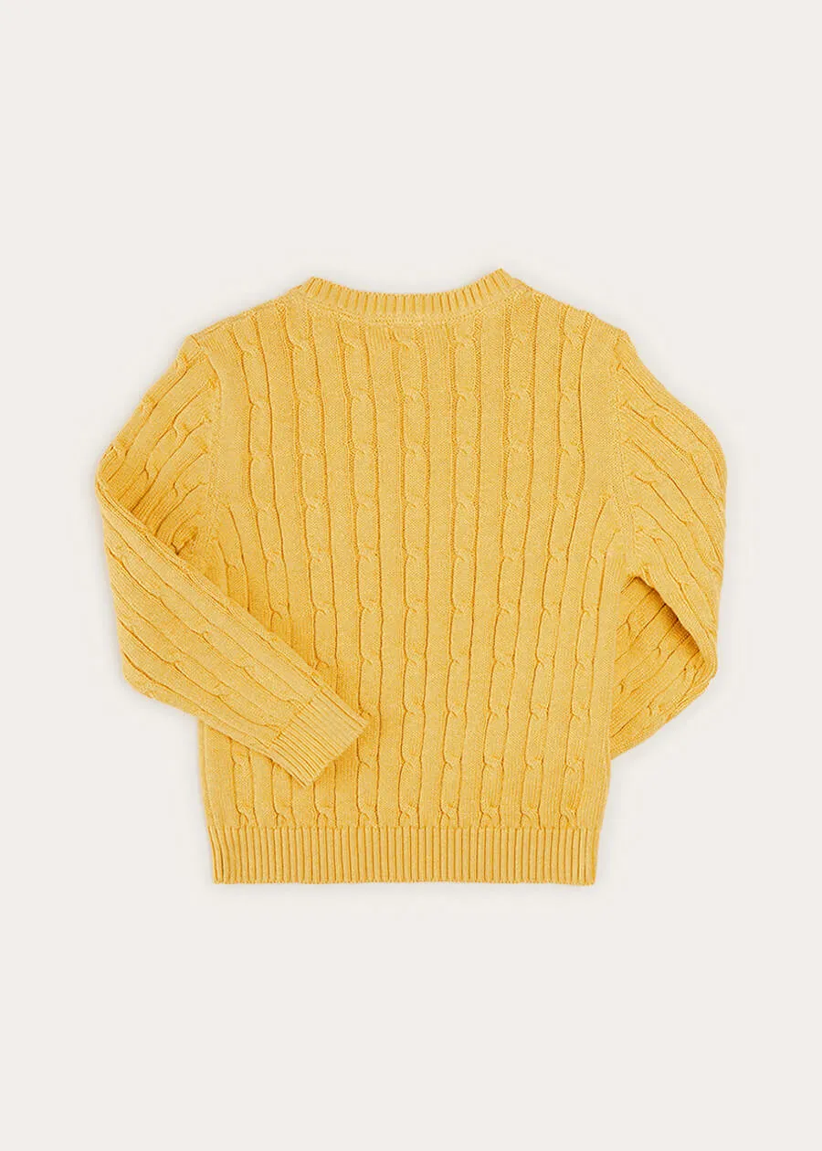 Cable Detail Crew Neck Jumper In Mustard Yellow (2-10yrs)