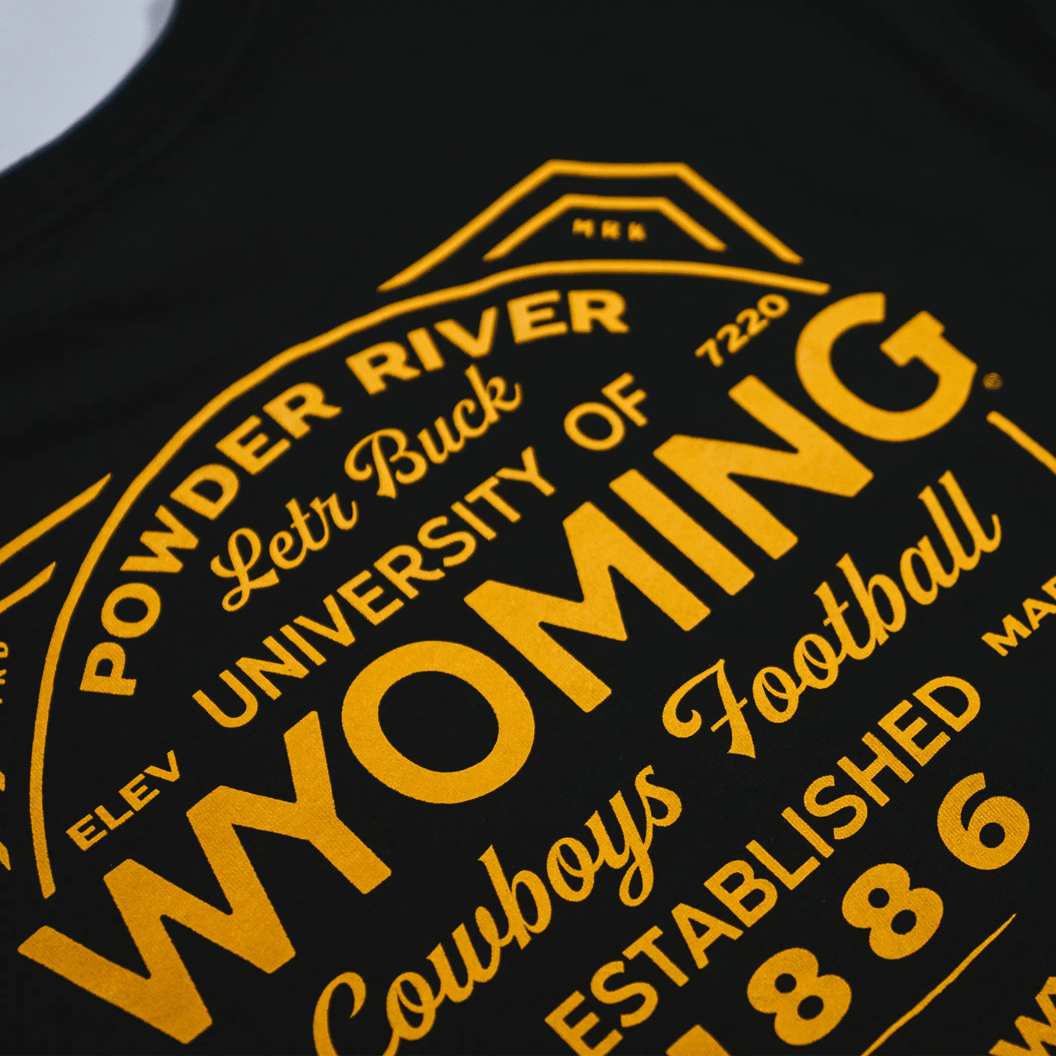 Carhartt Wyoming Cowboys Football Type Design