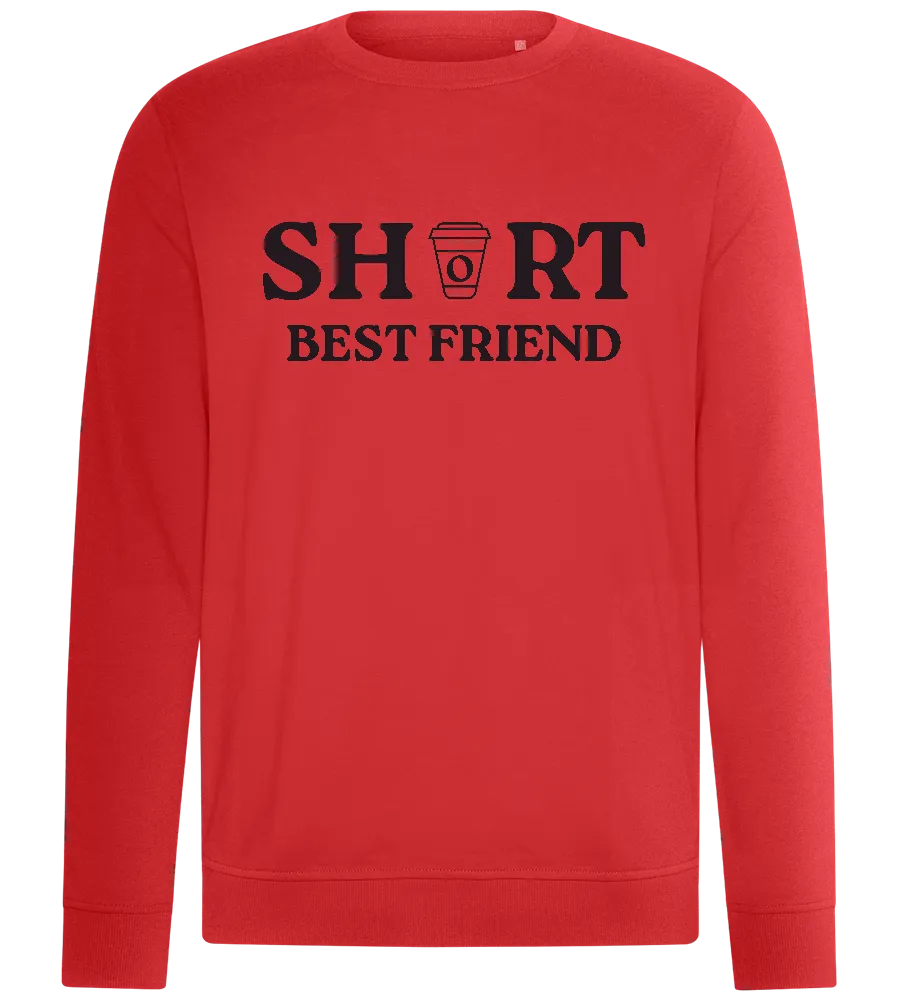 The Short Best Friend Design - Comfort unisex sweater