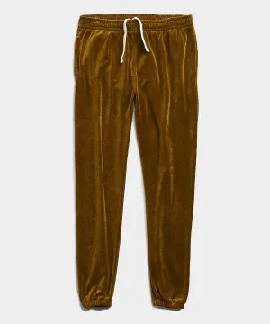 Velour Classic Fit Sweatpant in Lime